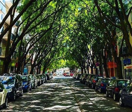 Campo De Ourique Rooms Lisboa 外观 照片