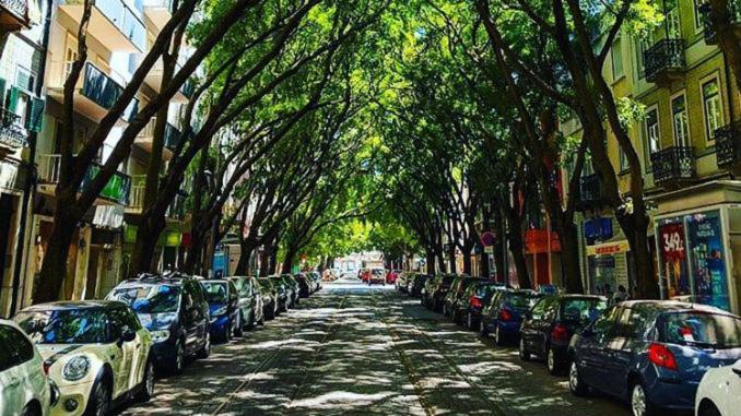 Campo De Ourique Rooms Lisboa 外观 照片